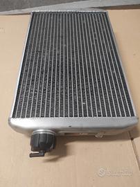 Radiatore kart 125