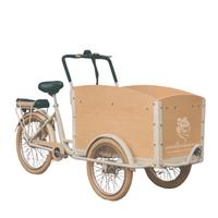 ECargo Bike nuova