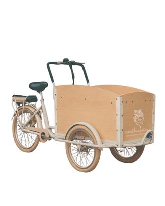 ECargo Bike nuova