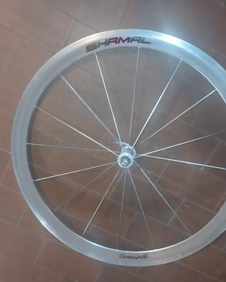 cerchione Campagnolo usato