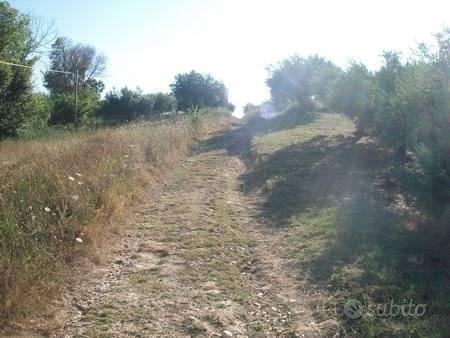 Terreno agricolo a Lanciano, contrada Rizzacorno