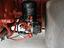 Immagine 6