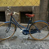 bici vecchia Olanda