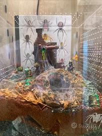 Terrario teca  migale