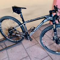 Mtb triestina wilier carbonio 29"