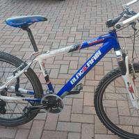 Mountain Bike ruote 26