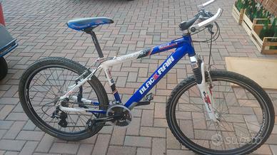 Mountain Bike ruote 26