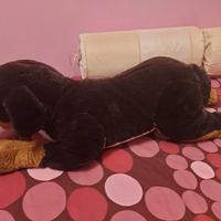 Peluche cane