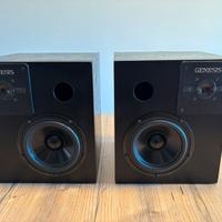 Diffusori artigianali 2 vie Genesis / Dayton 8ohm