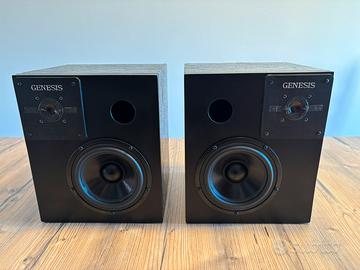 Diffusori artigianali 2 vie Genesis / Dayton 8ohm