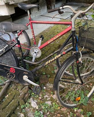 Bicicletta da donna