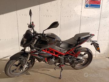 Benelli BN 125 - 2022
