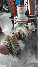 Pompa caprari mec d2/80