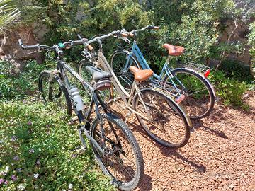 3 biciclette: 2 da passeggio e una mountain bike