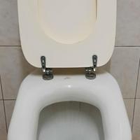 Sanitari