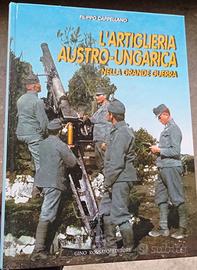 L'artiglieria austro-ungarica nella grande guerra