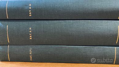 RAKAM riviste rilegate in verde