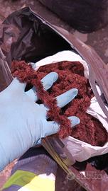  assortimento gomitoli di lana 