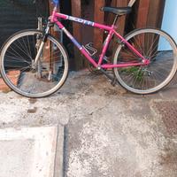 Bicicletta Mountain bike Scott 