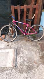 Bicicletta Mountain bike Scott 