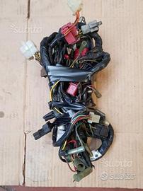 Treccia impianto elettrico Kawasaki en 500