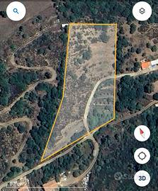 Terreno edificabile a Torpè (NU)