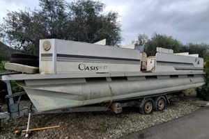 Imbarcazione Ponton boat con motore e carrello