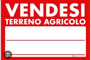 Terreno agricolo