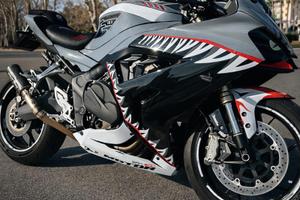 QjMotor SRK 800 rr 2024