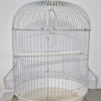 gabbie per pappagallini ondulati o cocorite