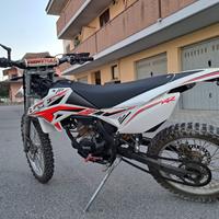 Beta RR 50 - 2016