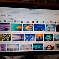 Monitor HP 22 pollici 