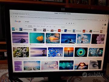 Monitor HP 22 pollici 