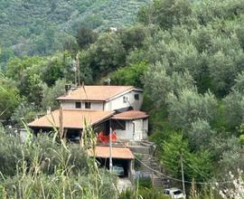 CASA INDIPENDENTE A OLEVANO ROMANO