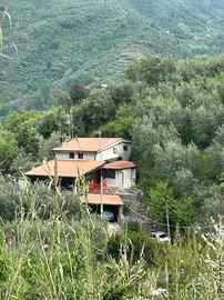 CASA INDIPENDENTE A OLEVANO ROMANO