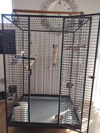 voliera per pappagalli 