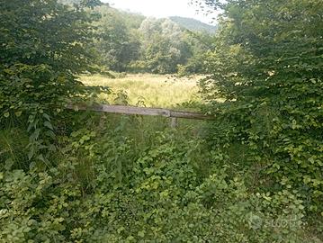 Terreno con sorgente