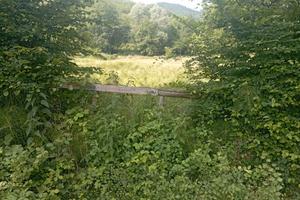 Terreno con sorgente