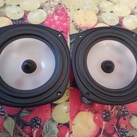 woofer  TANNOY  "P10"