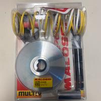 Variatore multivar honda foresight 250