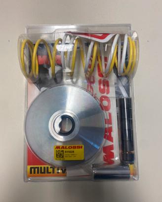 Variatore multivar honda foresight 250