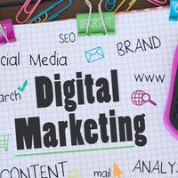 Content Creator & Social Media Manager