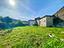 Immagine 9