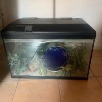 Acquario