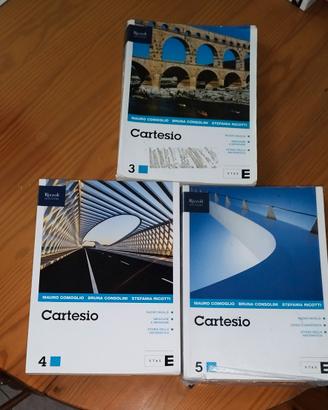 libri di matematica 