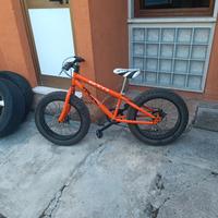 Bicicletta mai usata in serie limitata 