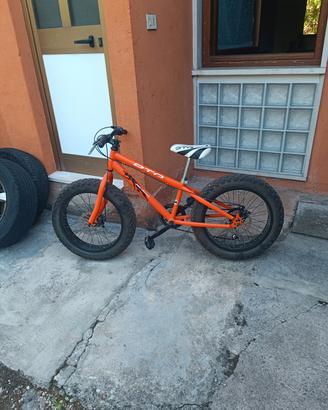 Bicicletta mai usata in serie limitata 