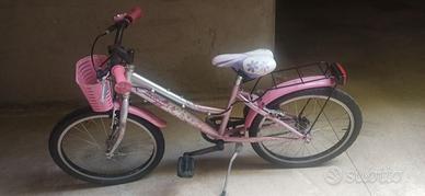 Bicicletta 20