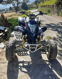 Quad Gas Gas 450 hp wild