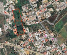 Terreno Agricolo Panoramico Alcamo Marina